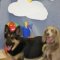 Doggone